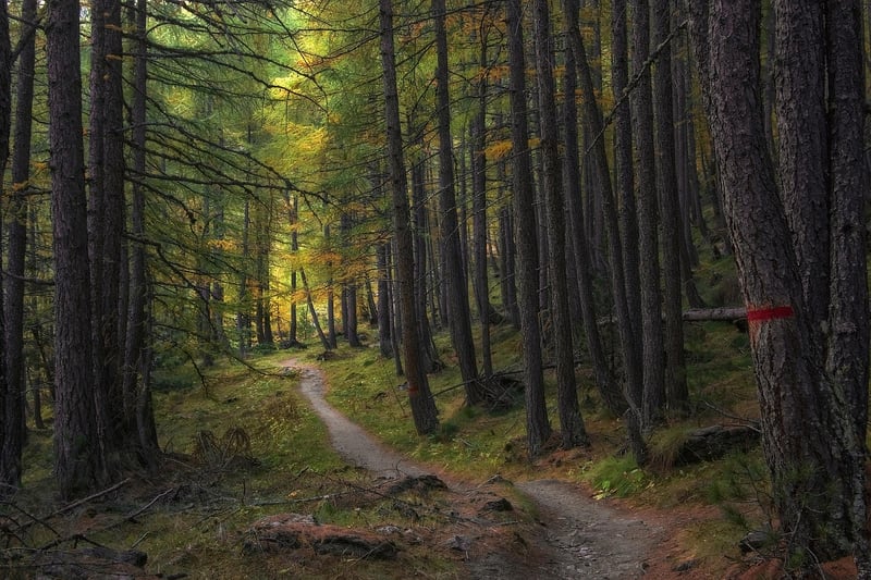 Magical Pathways
