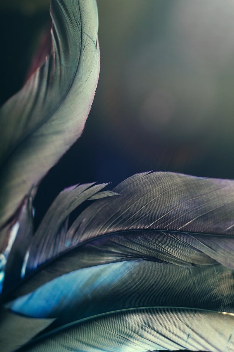Fantasy Plant