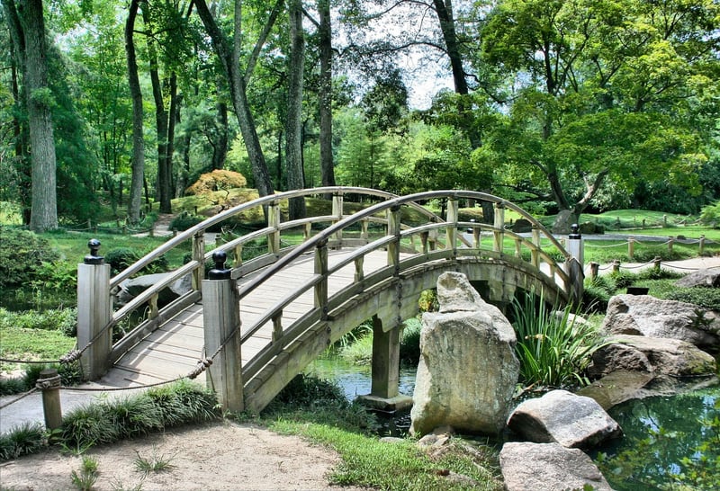 Mystical Garden