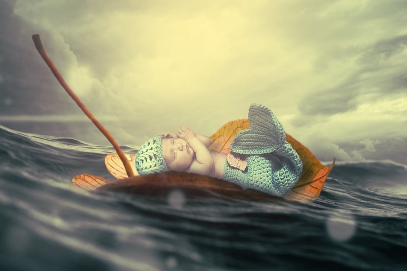 Mermaid Tail Succulent