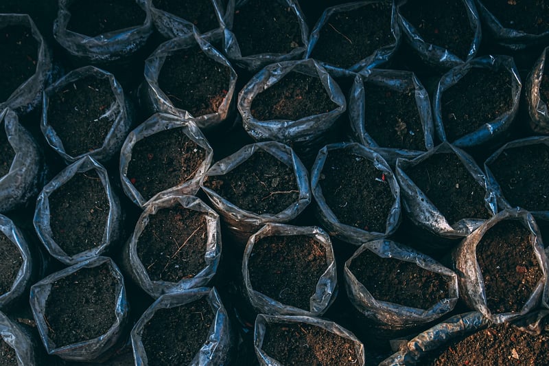Sorcery Soil Mix